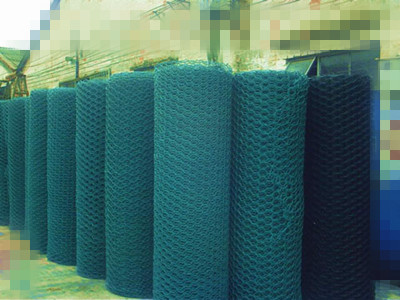Poultry Netting in Roll Poultry Netting in Roll