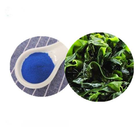 Phycocyanin Phycocyanin