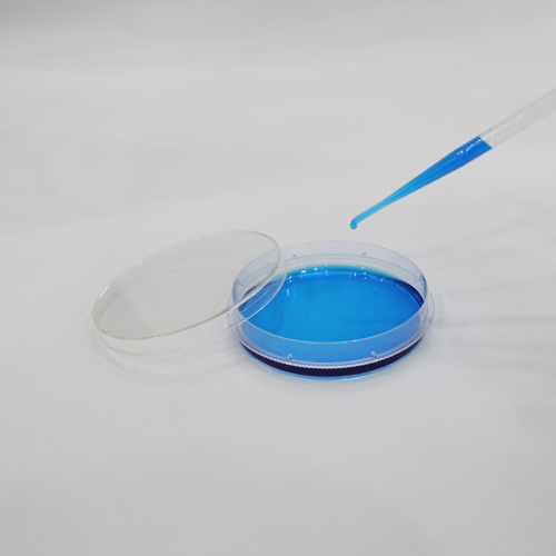 Best Disposable Plastic Culture Cell Bacteria Petri Dish Manufacturer Disposable Plastic Culture Cell Bacteria Petri Dish from China