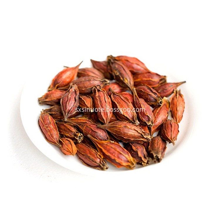 Cape Jasmine Fruit Powder Cape Jasmine Fruit Powder