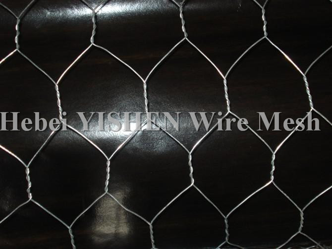 Galvanized hexagonal wire mesh