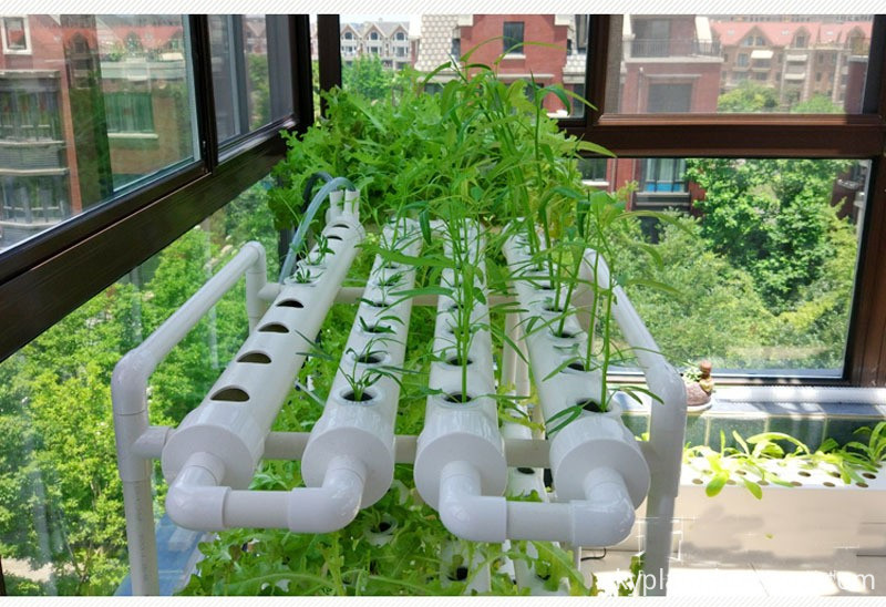 hydroponic kit hydroponic kit