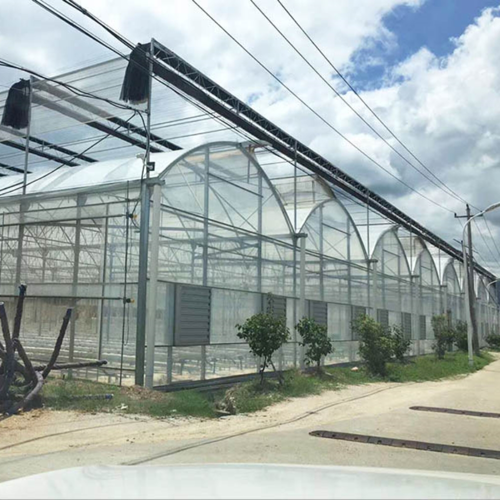 Arched Glass Greenhouse Arched Glass Greenhouse