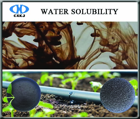 Water solubility