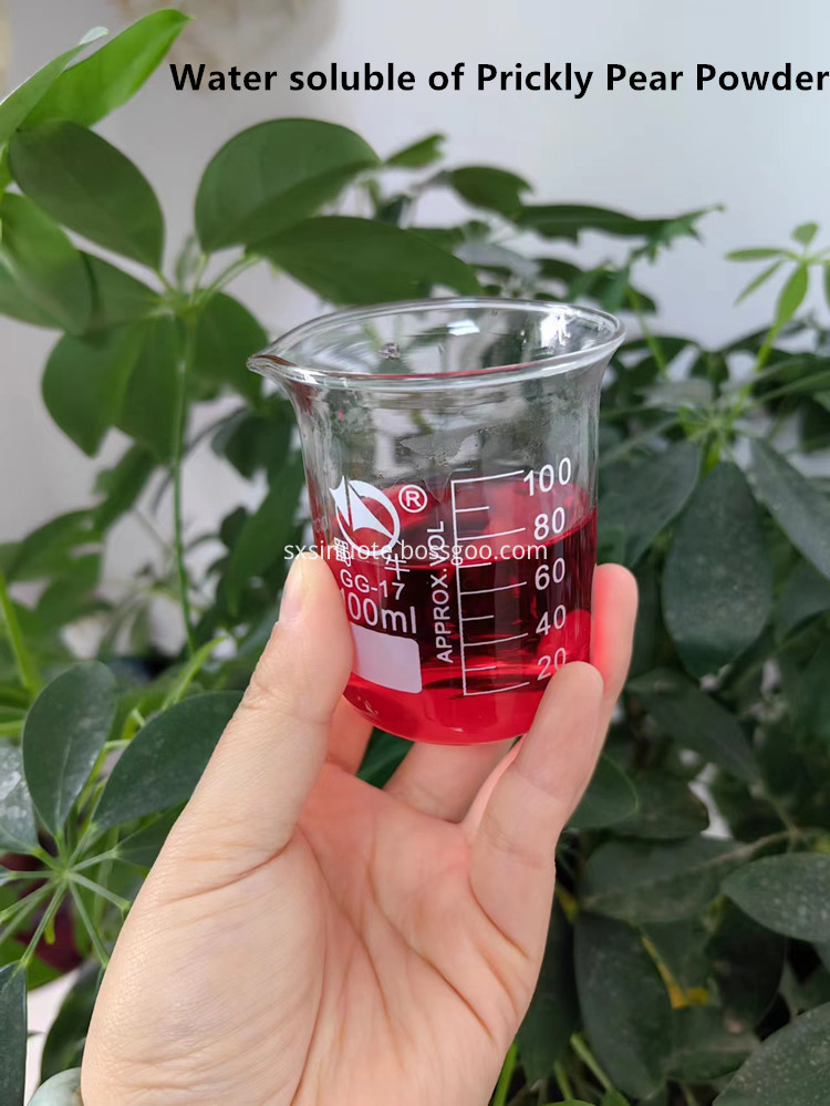 Water Soluble Prickly Pear Powder Water Soluble Prickly Pear Powder