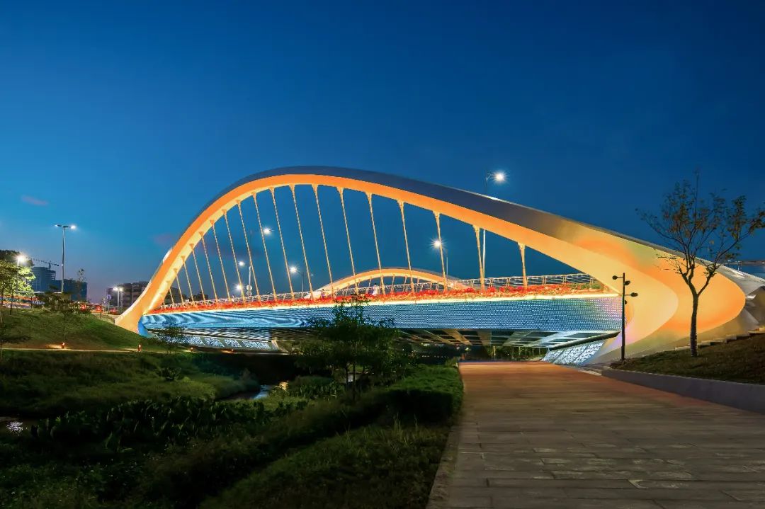 Shenzhen dashahe bridge5