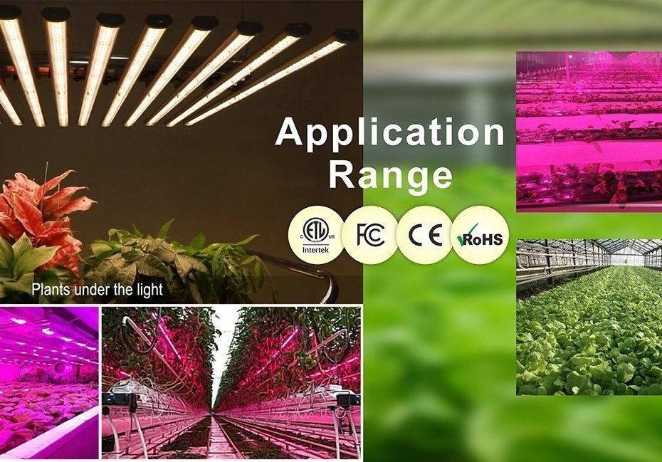 Grow Light Applicaitons