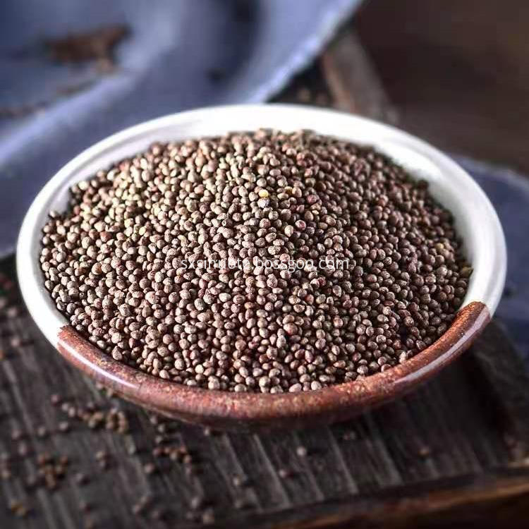 Perilla Seed Extract Perilla Seed Extract