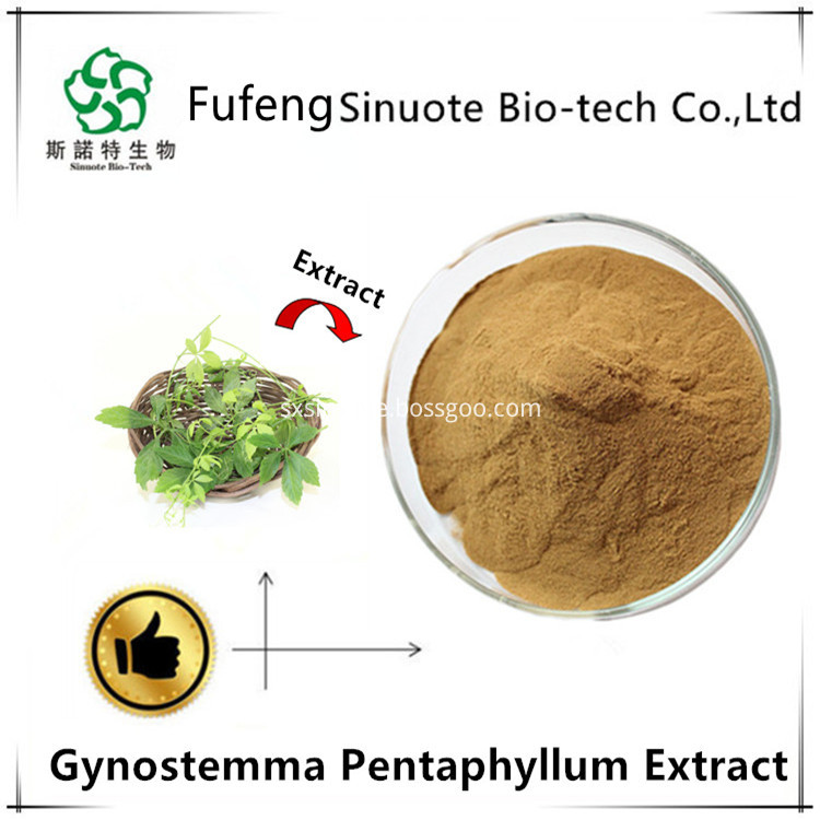 Gynostemma Pentaphyllum Leaf Extract Gynostemma Pentaphyllum Leaf Extract