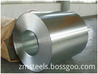 Galvanized Steel Coil