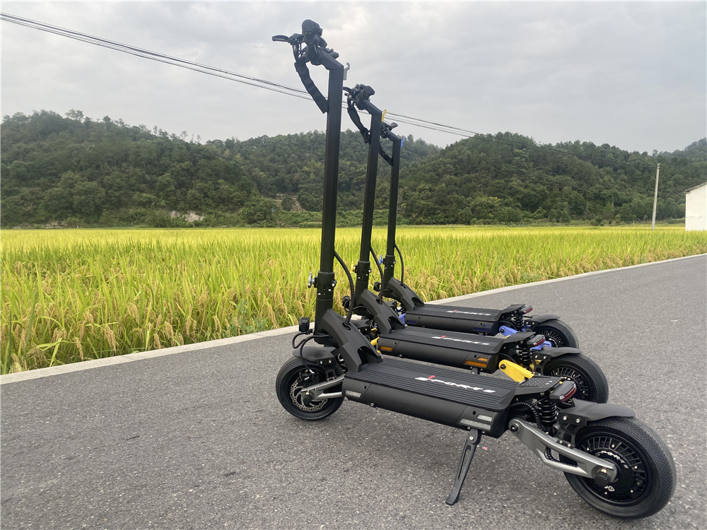 Offroad electric scooter (16) Offroad electric scooter (16)