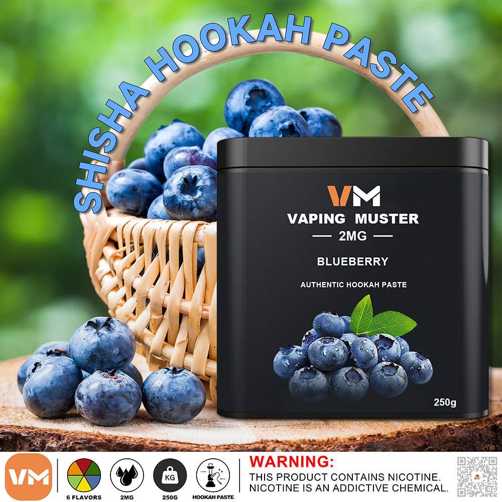 OEM Wholesale Shisha hookah paste OEM Wholesale Shisha hookah paste