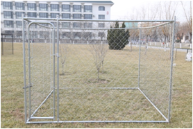 large chain link dog kennel