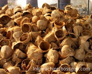 coconut shell pyrolysis  plant (3)