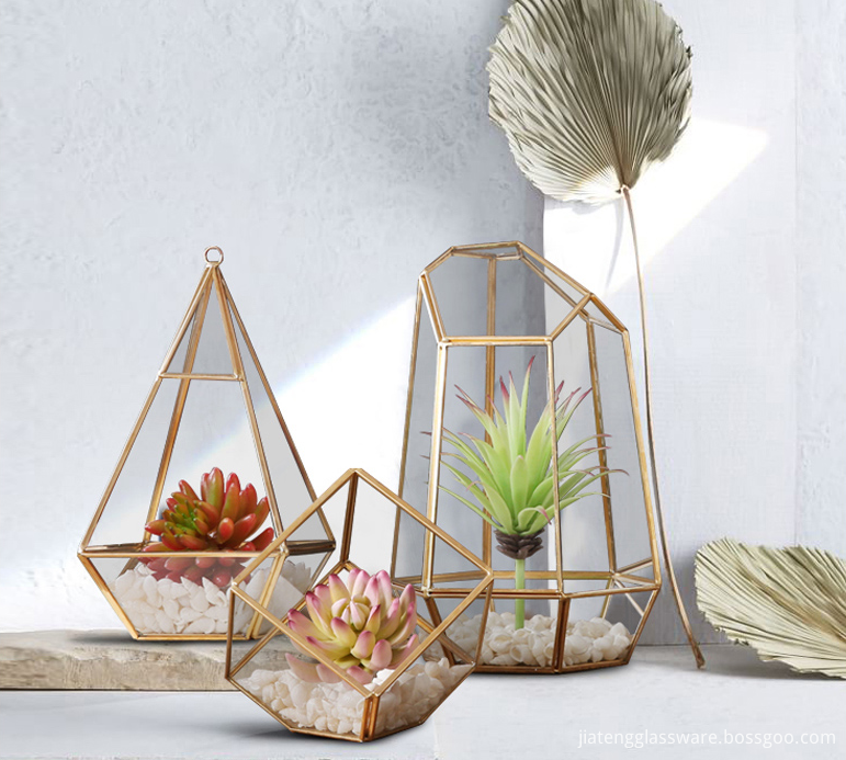 Glass Terrarium1 Glass Terrarium1