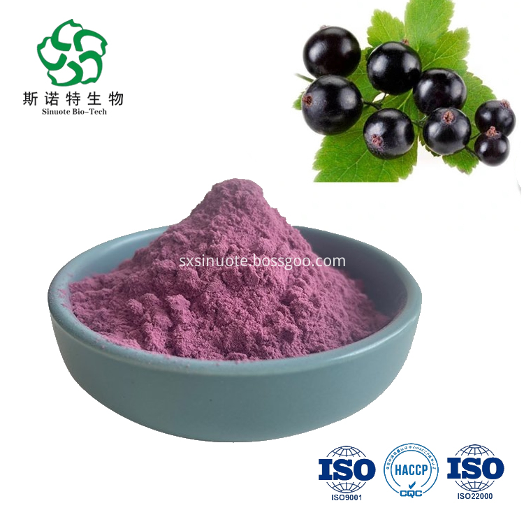 Black Currant Extract Black Currant Extract