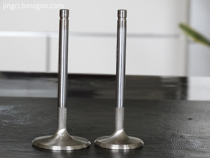 Racing Engine Valve Racing Engine Valve