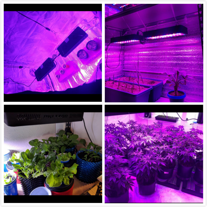 Grow Lights