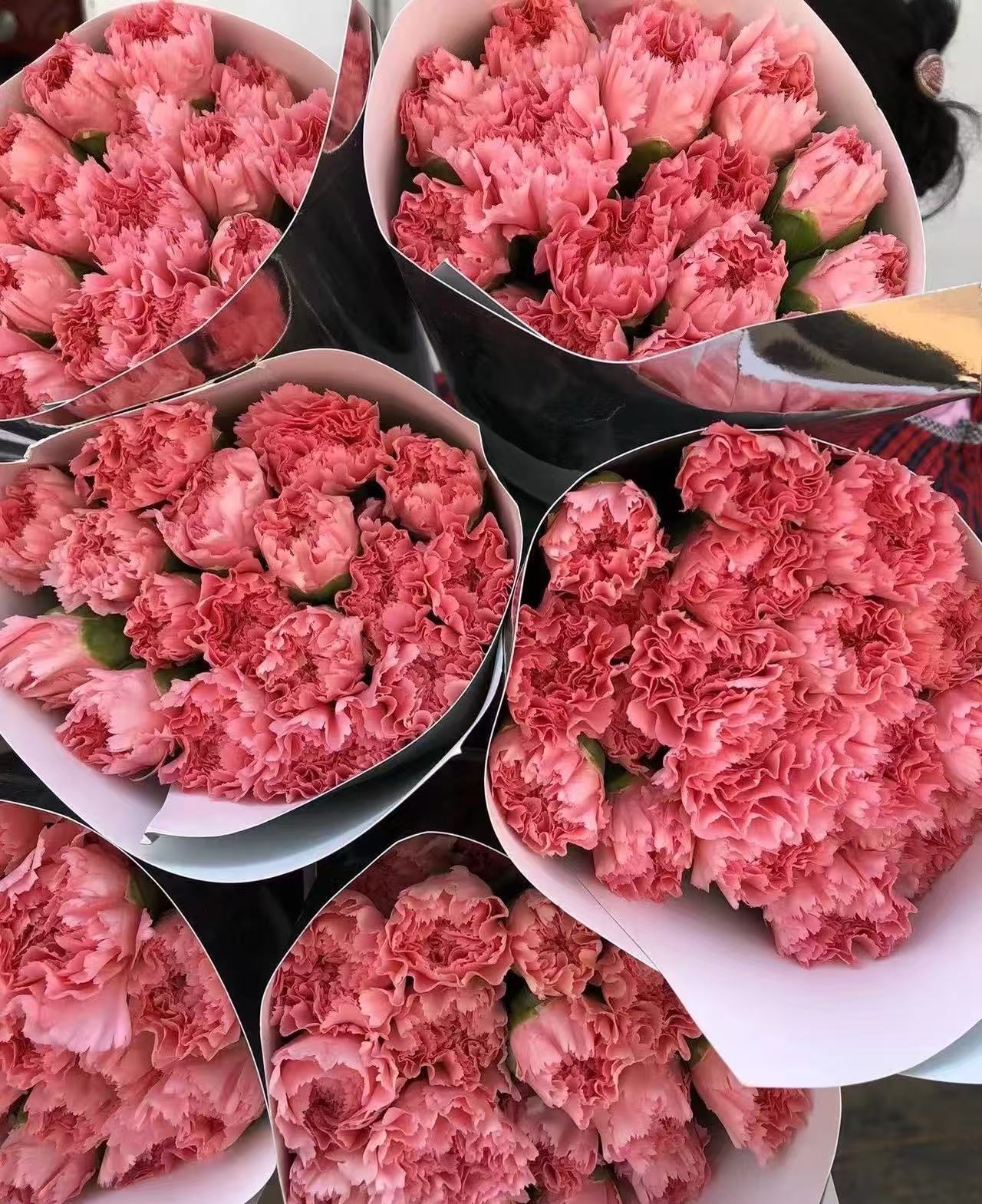Single-headed carnation powder zhuan Single-headed carnation powder zhuan