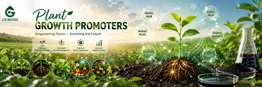 Plant growth promoters Plant growth promoters