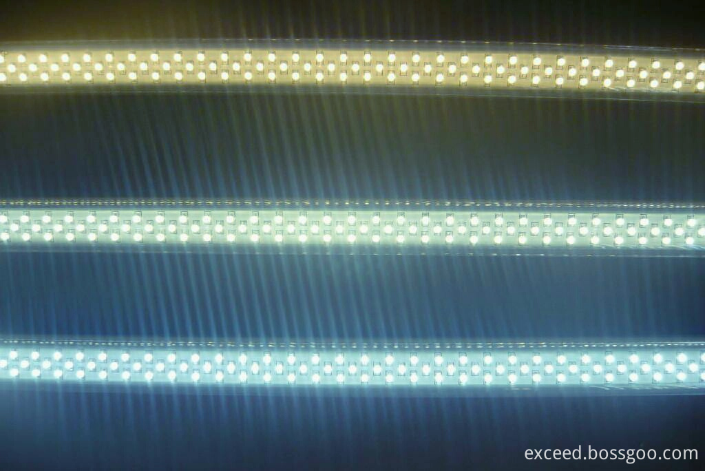 T5 LED Tube Light