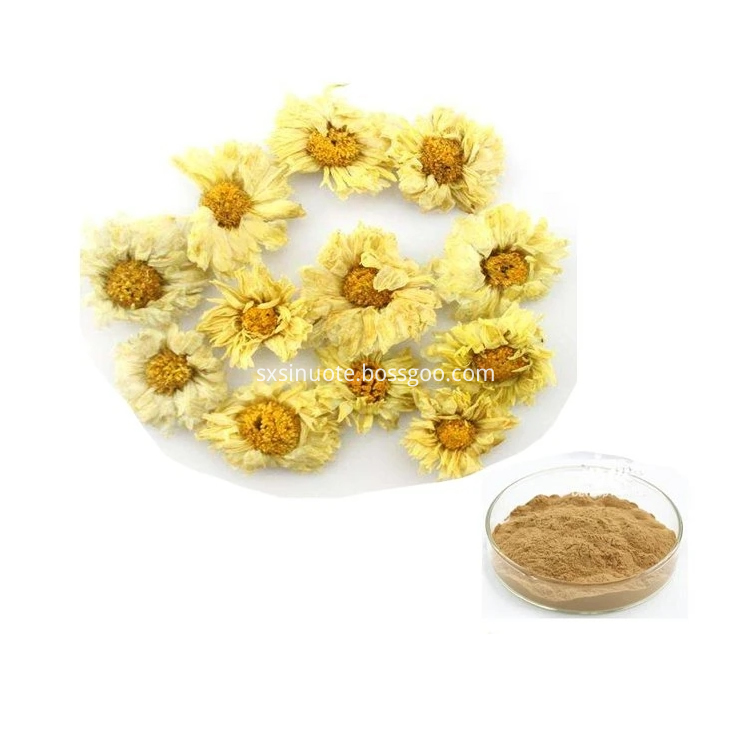 Wild Chrysanthemum Extract Wild Chrysanthemum Extract