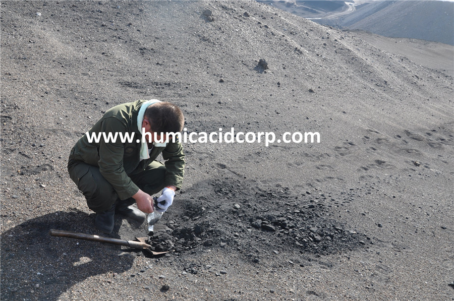 Humic Acid Leonardite Mine