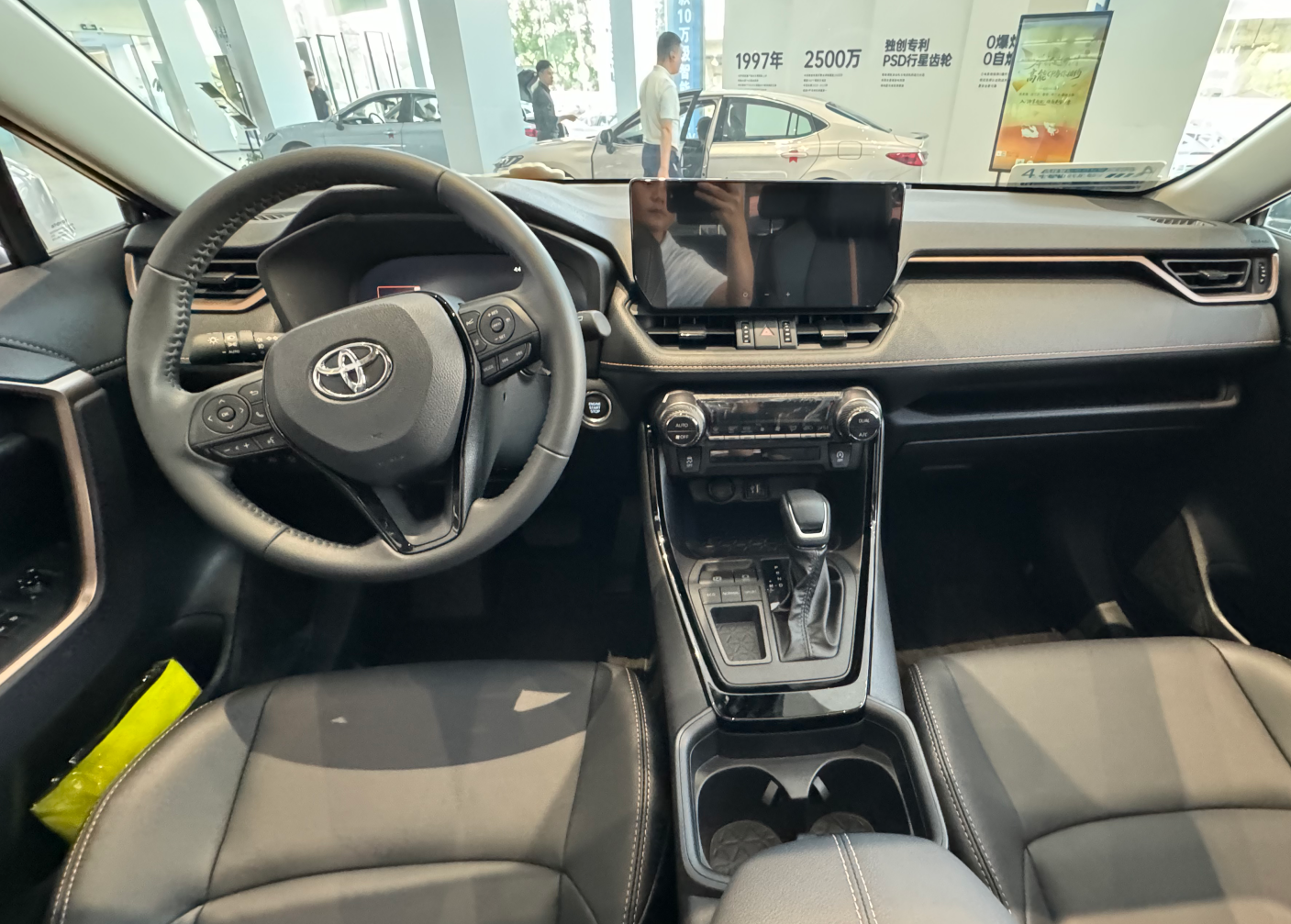 Compact and robust body proportions Compact and robust body proportions