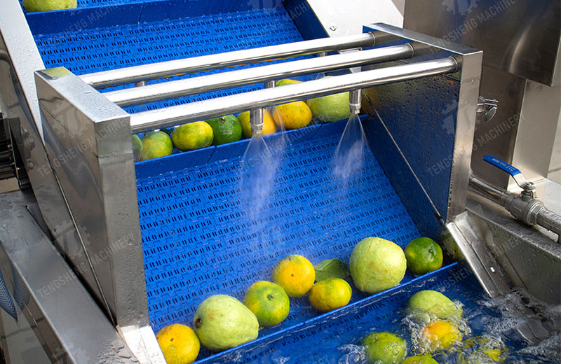 vegetable and fruit washing machine vegetable and fruit washing machine