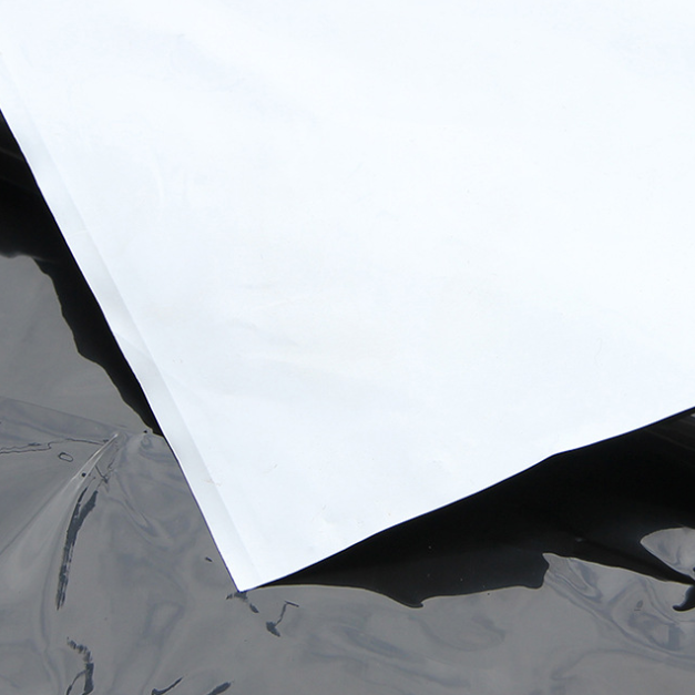 Ldpe Panda Detail 4 Ldpe Panda Detail 4