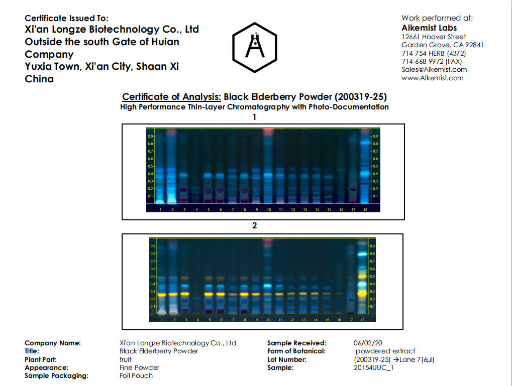 Elderberry Elderberry