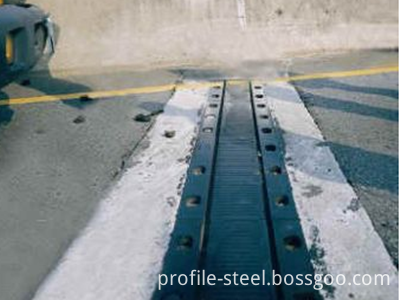 Rubber Expansion Joint