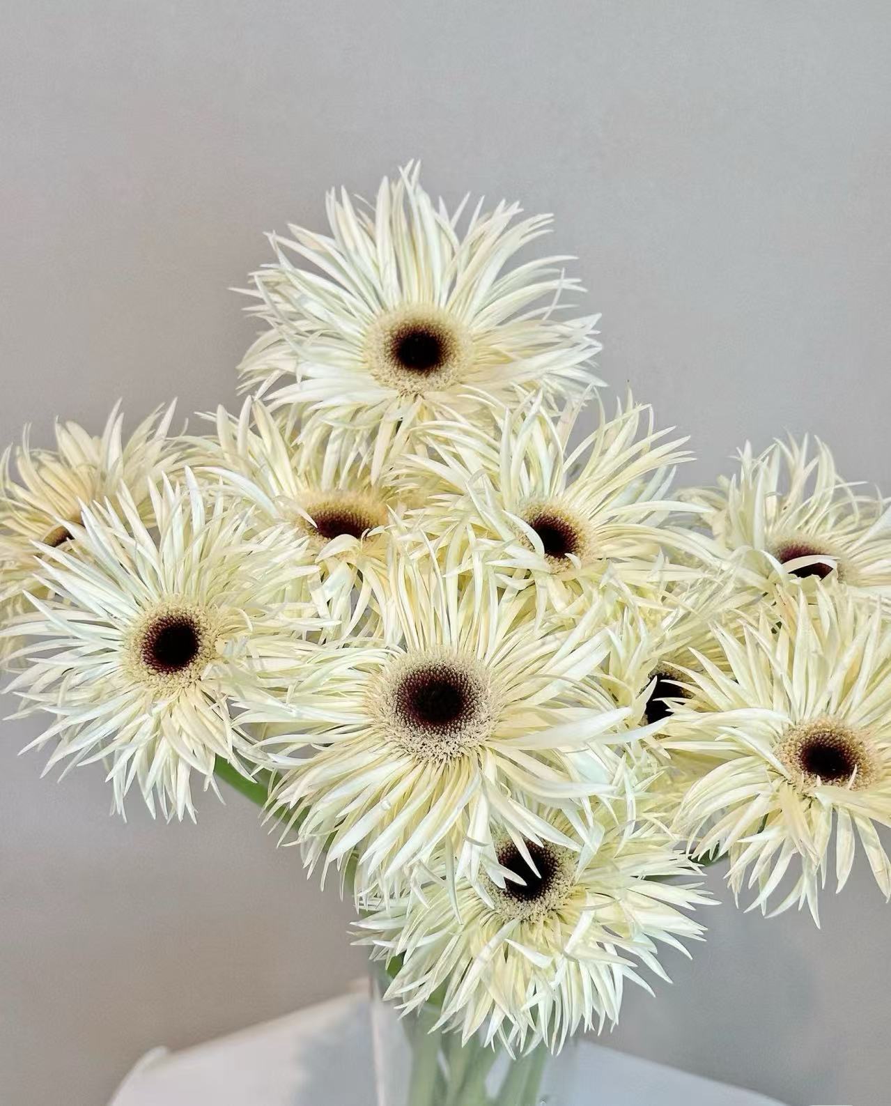 Standard white chrysanthemum Silky Gerbera Standard white chrysanthemum Silky Gerbera
