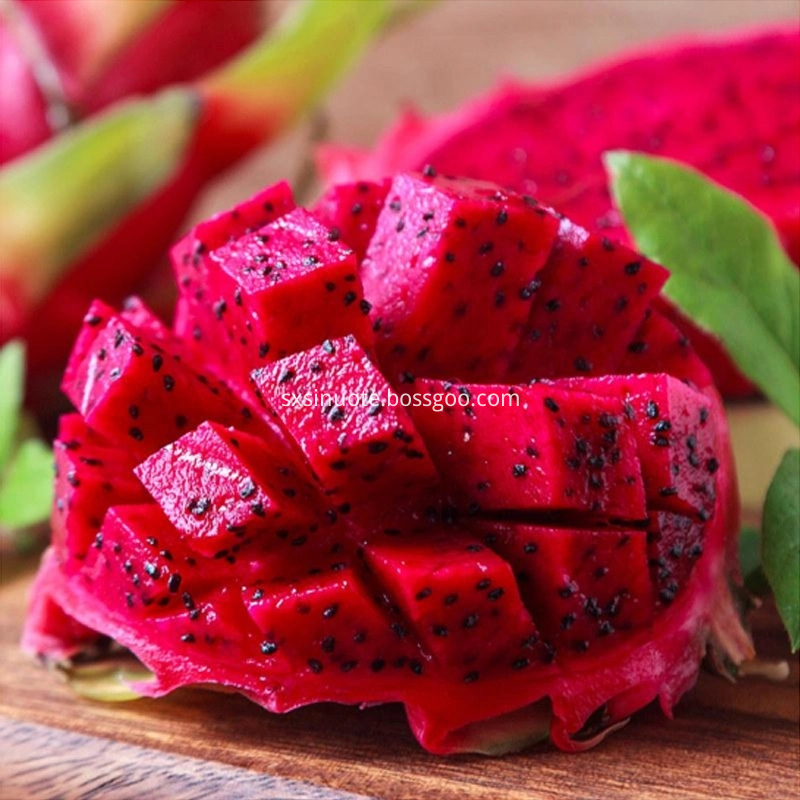 Dragon Fruit Powder Dragon Fruit Powder