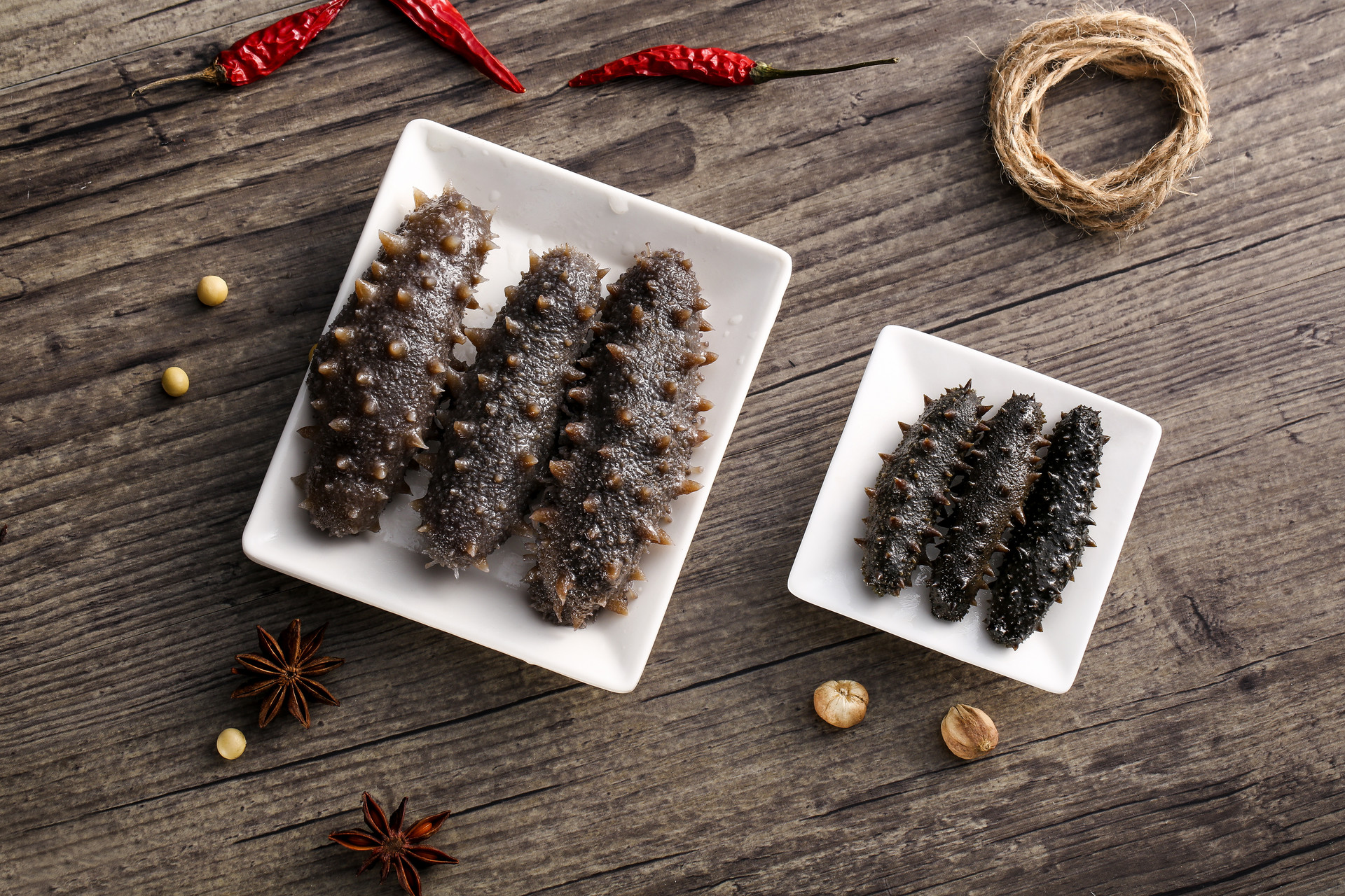 Sea Cucumber Sea Cucumber