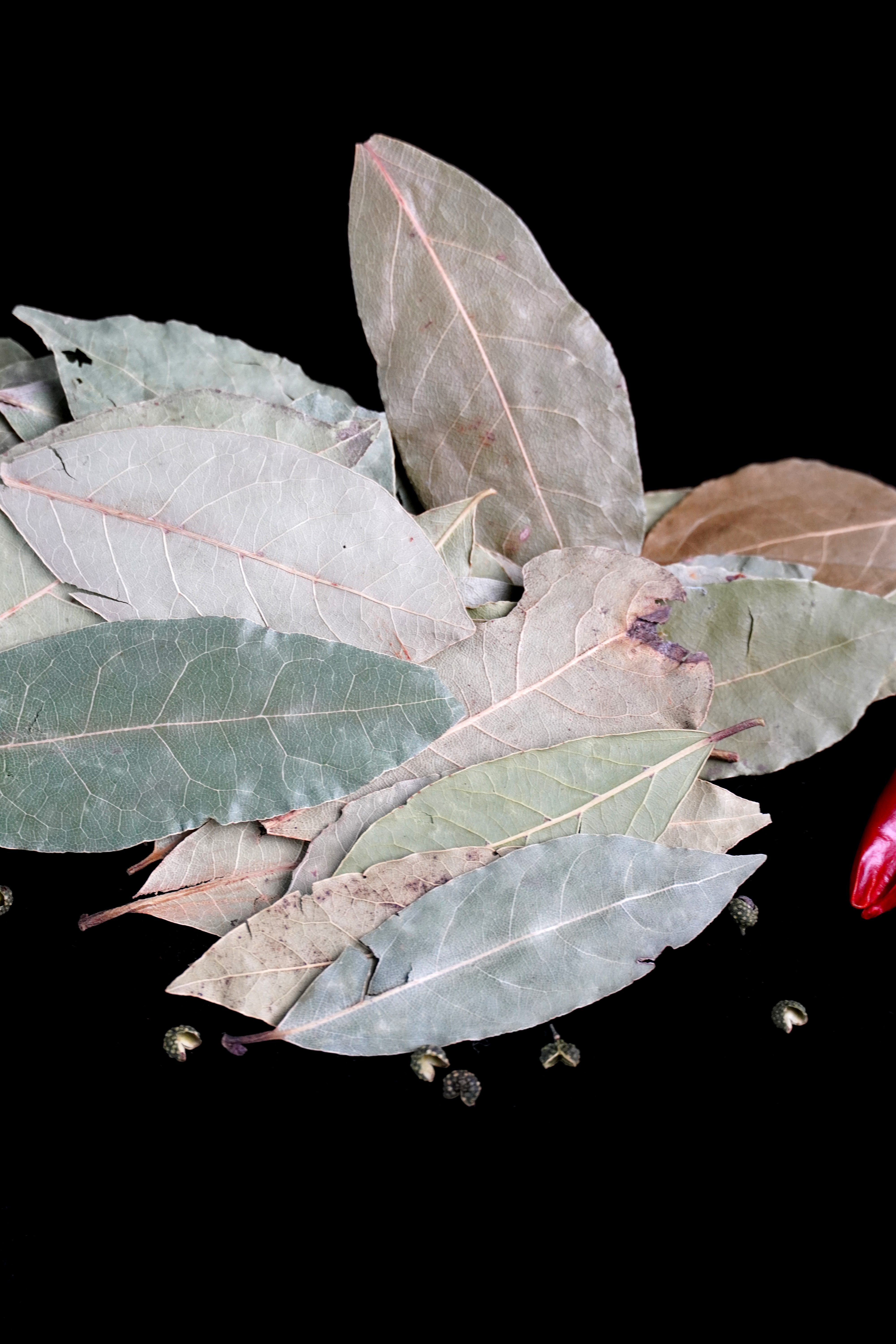 Bay leaf seasoning2 Bay leaf seasoning2