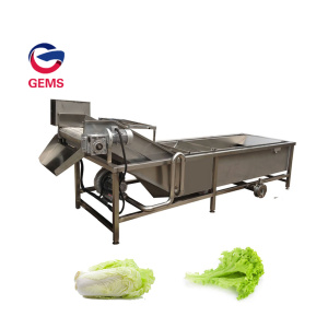 Pickle Cleaning Cleaner Machine Pickle Washing Machine