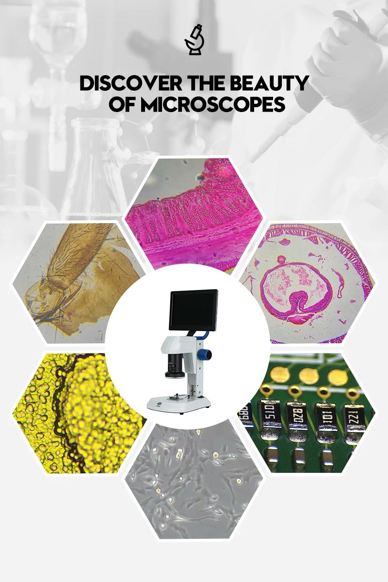 New Arrival Sdm Digital Microscope With Lcd Screen New Arrival Sdm Digital Microscope With Lcd Screen