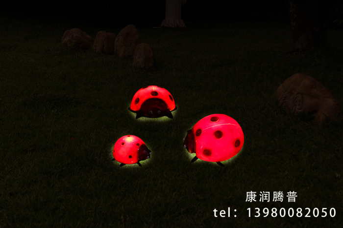006 006