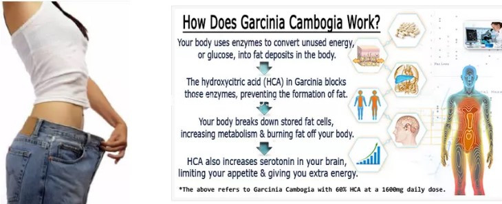 garcinia cambogia powder 7 garcinia cambogia powder 7