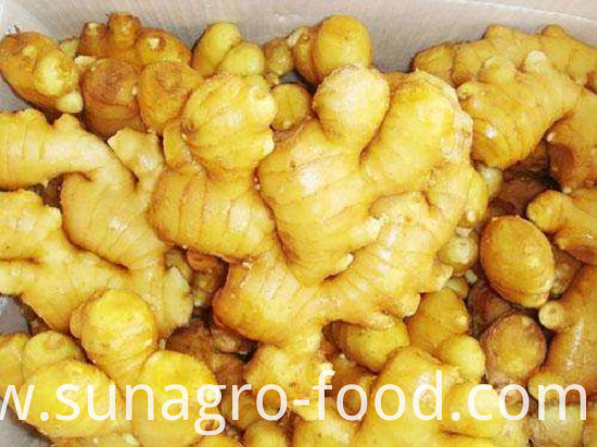 High Yield Fresh Ginger