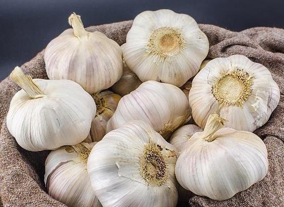 garlic garlic