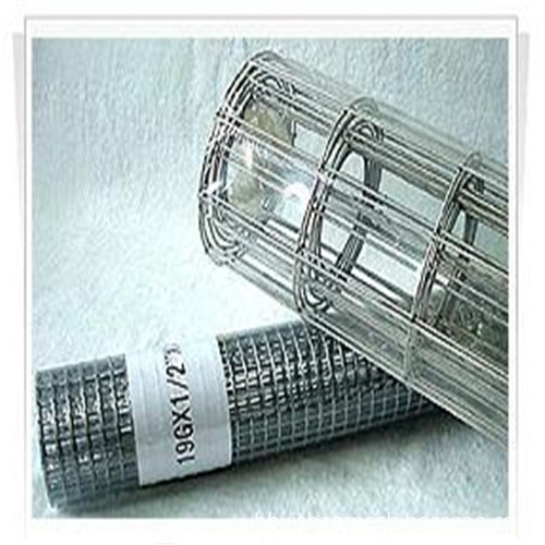 welded wire mesh2