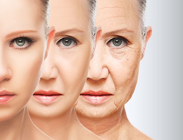 The anti-aging effect The anti-aging effect