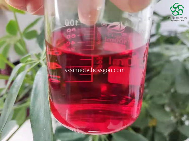 Cactus Juice Powder Cactus Juice Powder