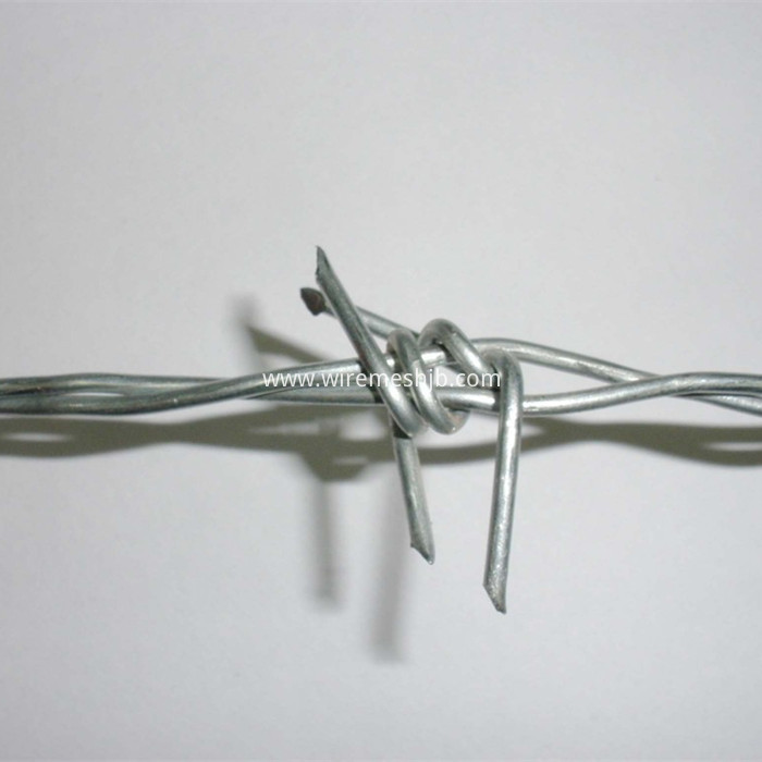 Barbed Wire