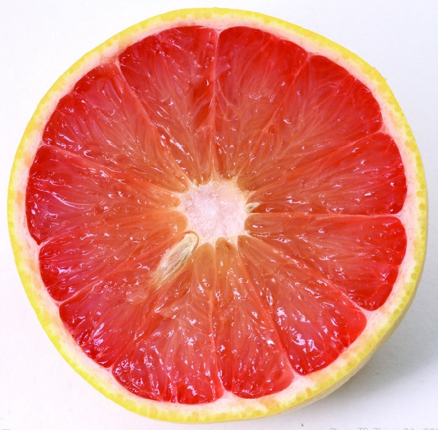 grapefruit grapefruit