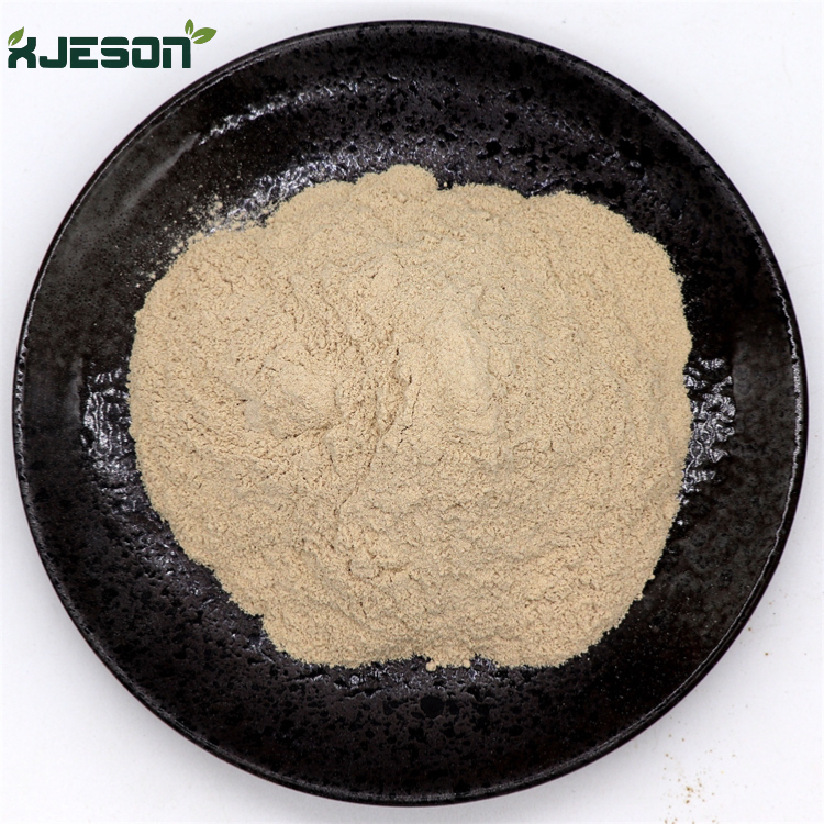 sheep placenta Powder (2) sheep placenta Powder (2)