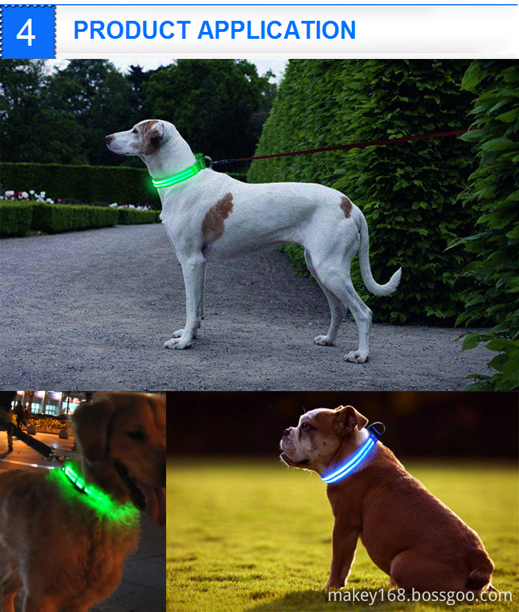 Night Collars For Dogs Night Collars For Dogs