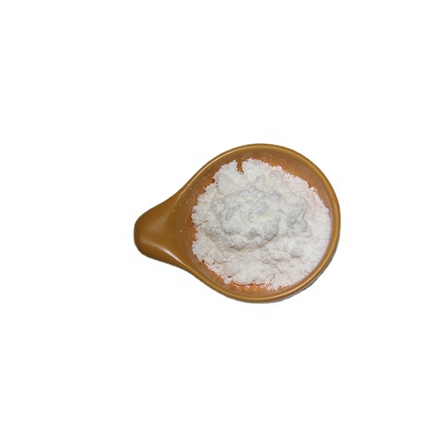 Peppermint extract powder Peppermint extract powder